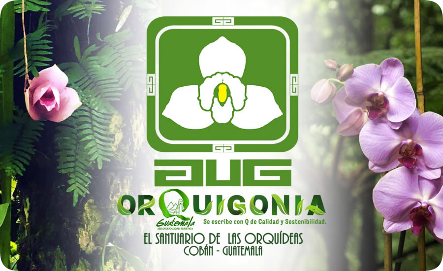 Orquigonia El Santuario de Las Orquideas de Guatemala