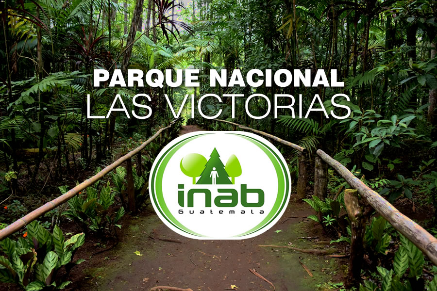 Parque Nacional Las Victorias