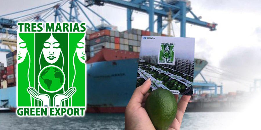Tres Marías Green Export