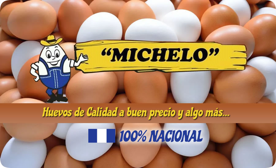 Huevos Michelo